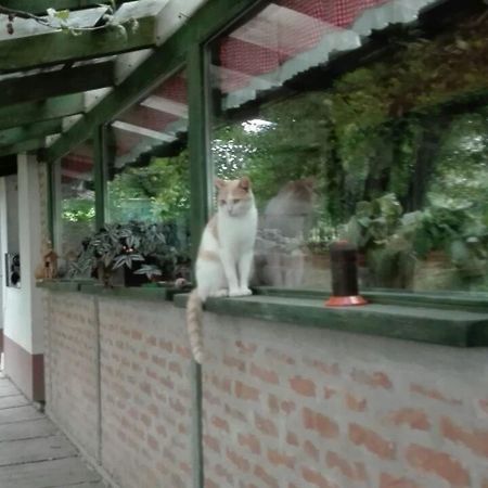 Farm Stay Lackovic Bilje Luaran gambar