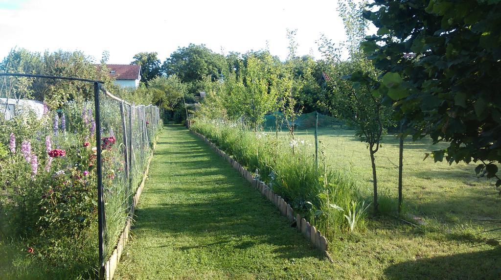 Farm Stay Lackovic Bilje Luaran gambar