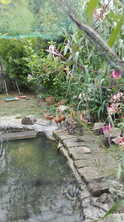 Farm Stay Lackovic Bilje Luaran gambar