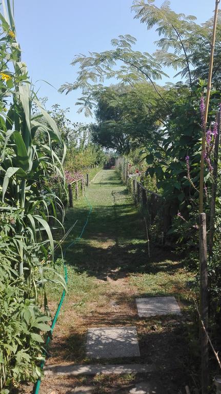 Farm Stay Lackovic Bilje Luaran gambar