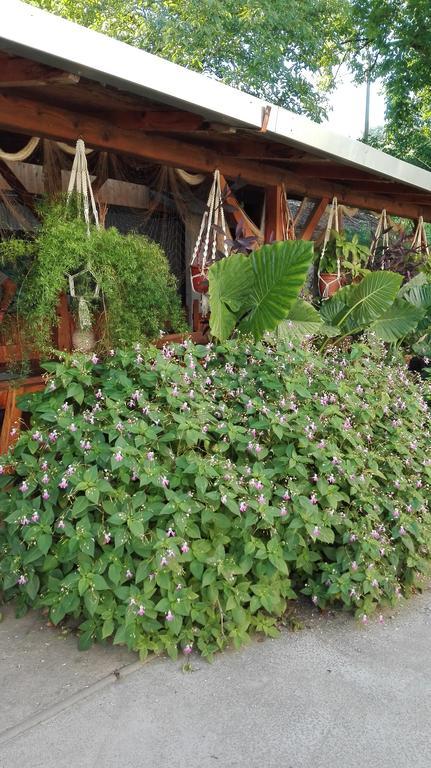 Farm Stay Lackovic Bilje Luaran gambar